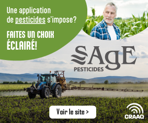 cine-cadeau-craaq