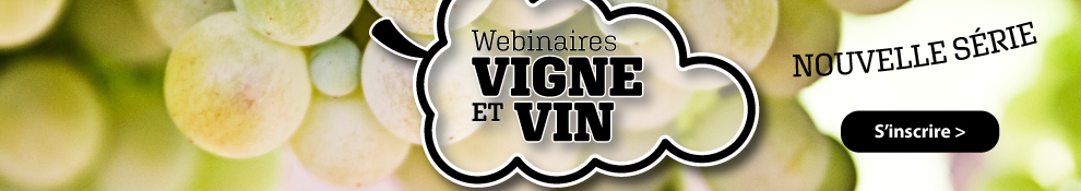 webinaire-vigne2023