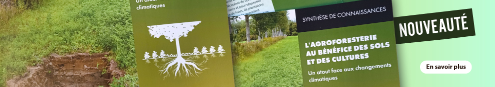 agroforesterie-mdagf010