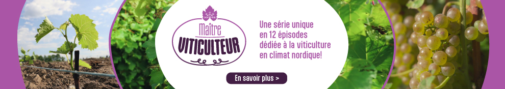 maitre_viticulteur