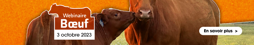 webinaire-boeuf