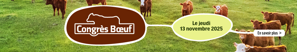 Congrès bœuf 2025