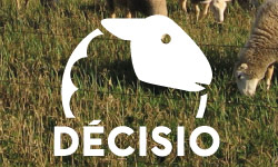 DECISIO : Outil Web en production ovine