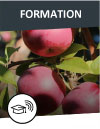 Formation en pomiculture