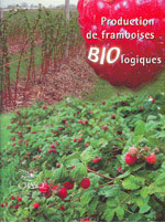 Production de framboises biologiques