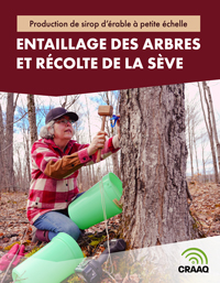 Production de sirop d'érable à petite échelle : Entaillage des arbres et récolte de la sève