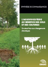 Feuillet synthèse - L'agroforesterie au bénéfice des sols et des cultures, un atout face aux changements climatiques (PDF)