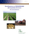 Fertilisation en phosphore de la pomme de terre - Recommandations
