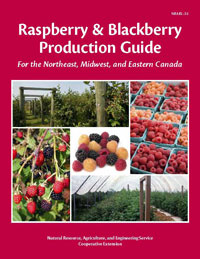 Raspberry and Blackberry Production Guide for the Northeast, Midwest, and Eastern Canada