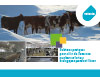 Solutions pratiques pour offrir de l'exercice aux bovins laitiers biologiques pendant l'hiver
