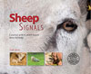 Sheep Signals