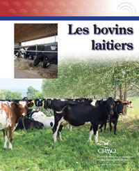 Les bovins laitiers