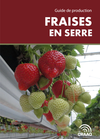 Guide de production : Fraises en serre