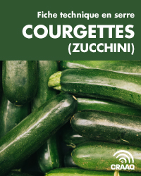 Fiche technique en serre - Courgettes (zucchini) (PDF)