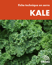 Fiche de production d'automne de kale en serre (PDF)