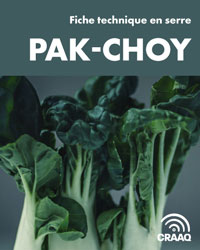 Fiche de production de pak-choy en serre (PDF)