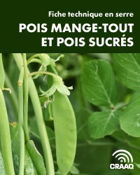 Fiche technique en serre - Pois mange-tout et pois sucrés (PDF)