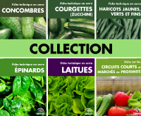 Collection Fiches techniques en serre : Concombres, Courgettes (zucchinis), Épinards, Haricots, Laitues (PDF)