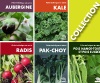 Collection Fiches techniques en serre 2 : Aubergine, Kale, Radis, Pak-choy, Pois mange-tout et pois sucrés (PDF)