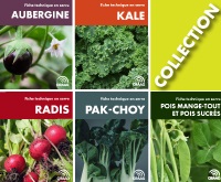 Collection Fiches techniques en serre 2 : Aubergine, Kale, Radis, Pak-choy, Pois mange-tout et pois sucrés (PDF)