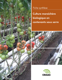 Culture maraîchère biologique en contenants sous serre