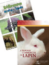 Collection Lapin