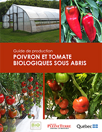 Guide de production : Poivron et tomate biologiques sous abris (PDF)