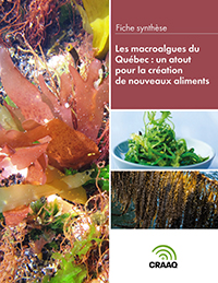 Fiche synthèse - Les macroalgues du Québec : un atout pour la création de nouveaux produits (PDF)