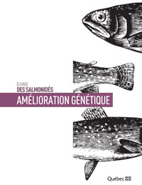 Élevage des salmonidés : Amélioration génétique