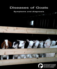 Diseases of goats symptoms and diagnosis