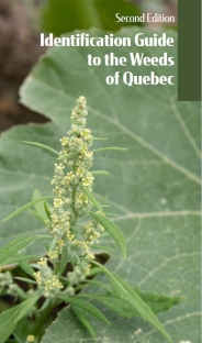 Identification guide to the weeds of Quebec, 2nd edition (PDF)