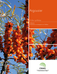 Fiche synthèse - Argousier (PDF)
