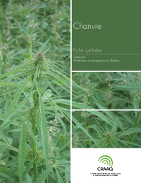 Fiche synthèse - Chanvre (PDF)