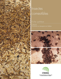 Fiche synthèse - Insectes comestibles (PDF)