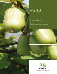 Fiche synthèse - Minikiwi (PDF)