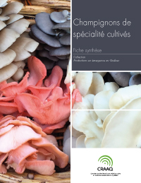 Fiche synthèse - Champignons (PDF)