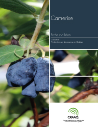 Fiche synthèse - Camerise (PDF)