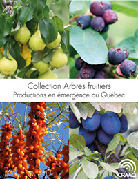 Fiches synthèses - Collection Arbres fruitiers (PDF)
