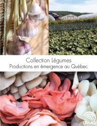 Fiches synthèses - Collection Légumes (PDF)
