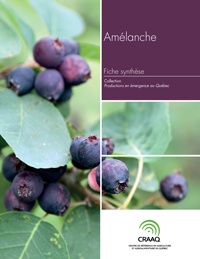 Fiche synthèse - Amélanche (PDF)