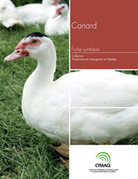Fiche synthèse - Canard (PDF)