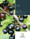 Fiche synthèse - Cassis (PDF)