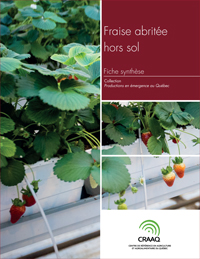 Fiche synthèse - Fraises hors sol (PDF)