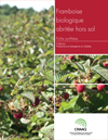 Fiche synthèse - Framboise biologique abritée hors sol (PDF)