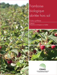 Fiche synthèse - Framboise biologique abritée hors sol (PDF)