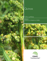 Fiche synthèse - Quinoa (PDF)