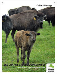 Gestion de la reproduction du bison