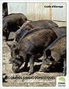 Principales maladies du sanglier