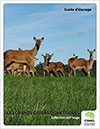 Collection Cerf rouge