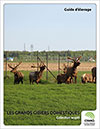 Collection Wapiti